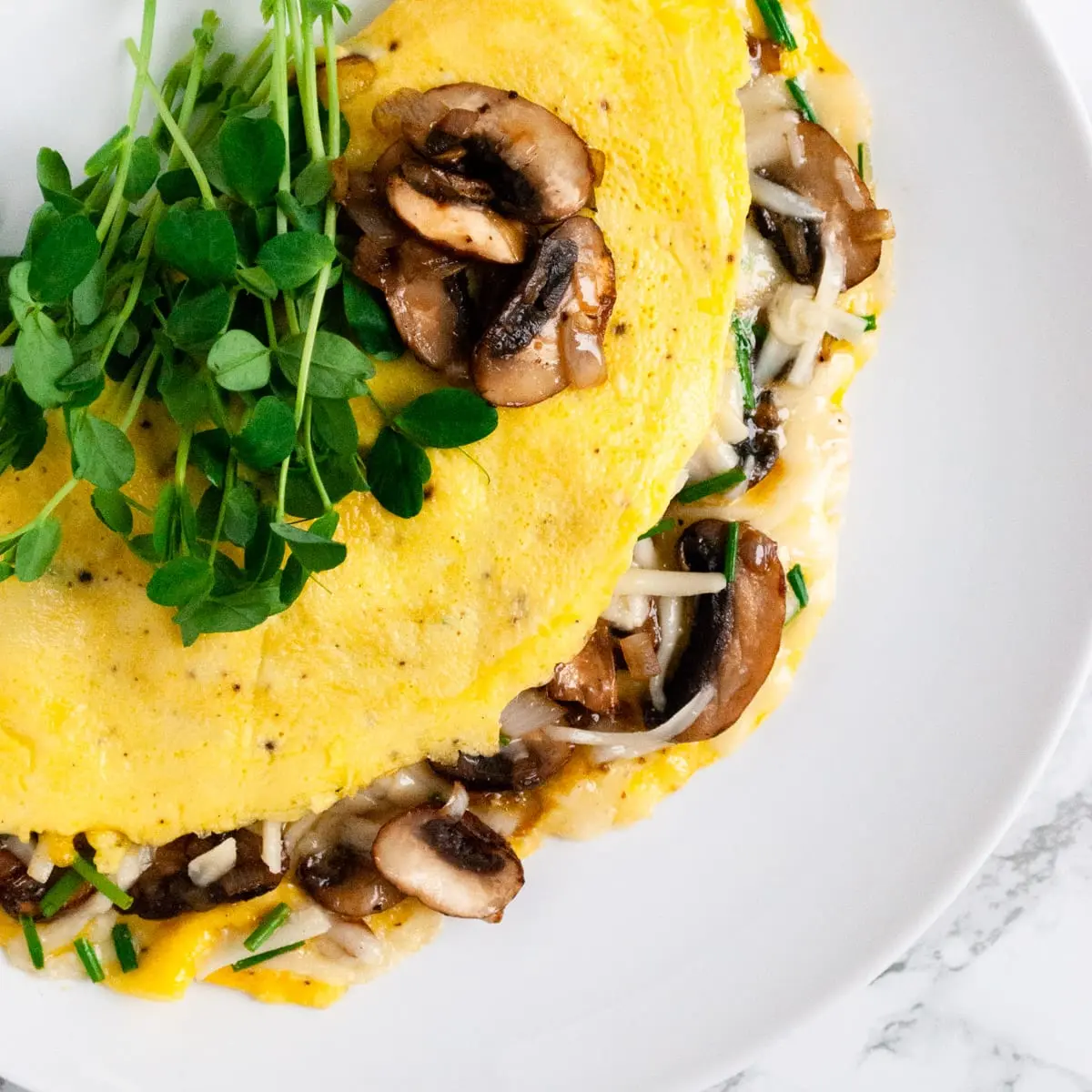 Mushroom and Gruyère Omelet