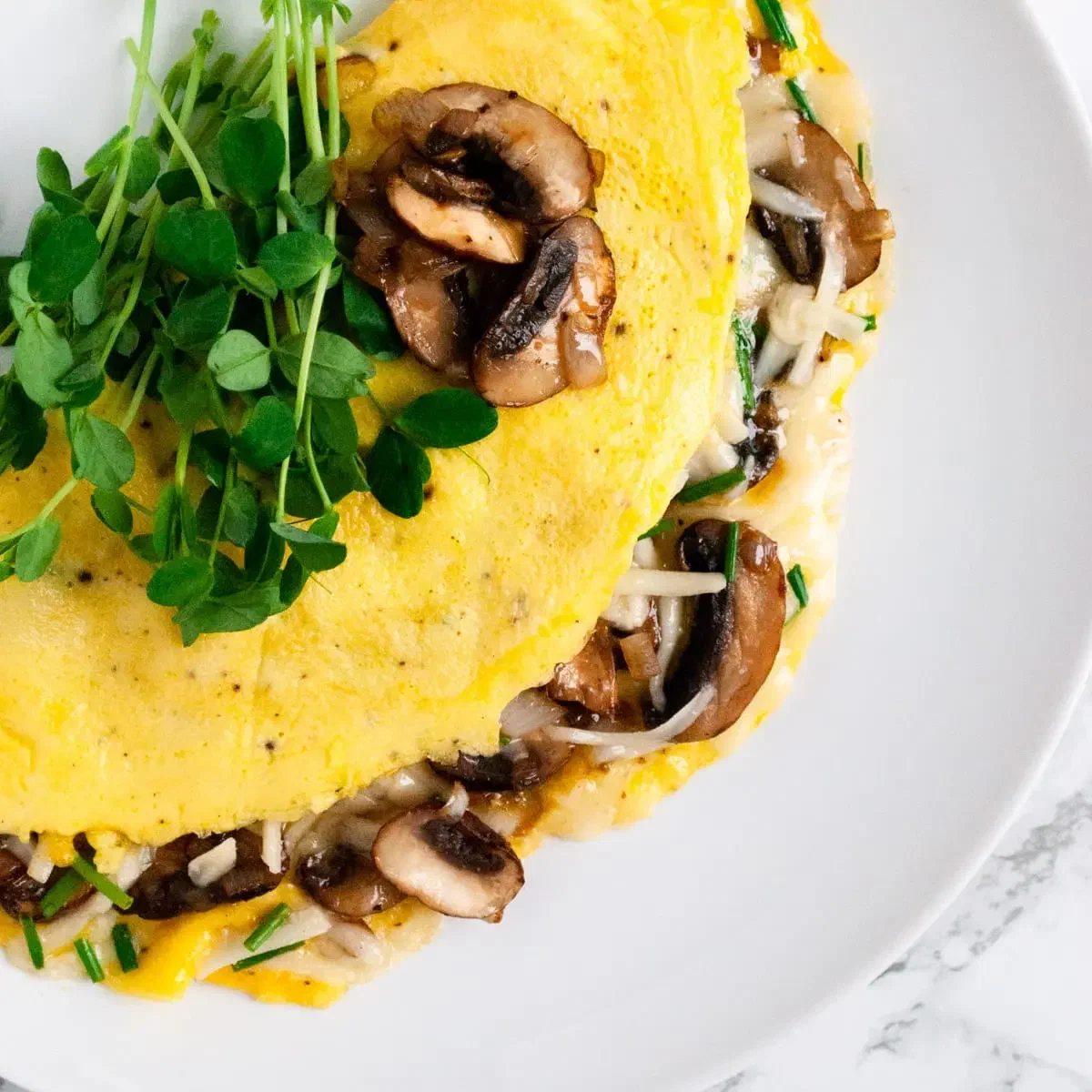 Mushroom and Gruyère Omelet